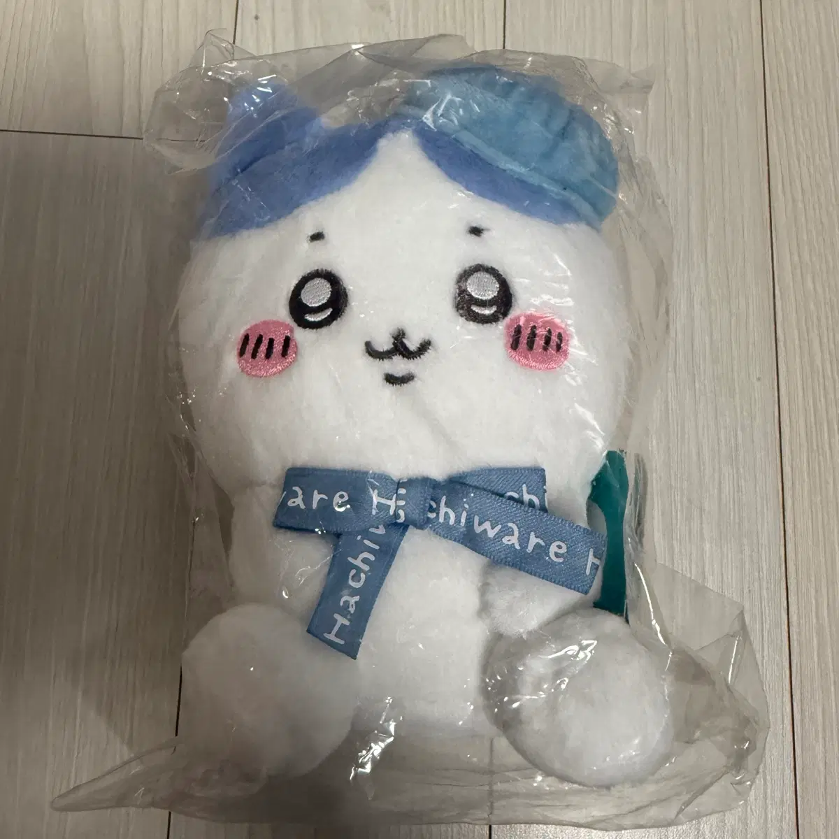 치이카와 도쿄 미아게 앉은누이 하치와레