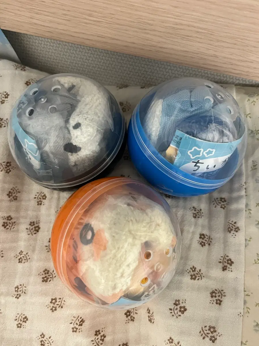 치이카와 파우치 가챠