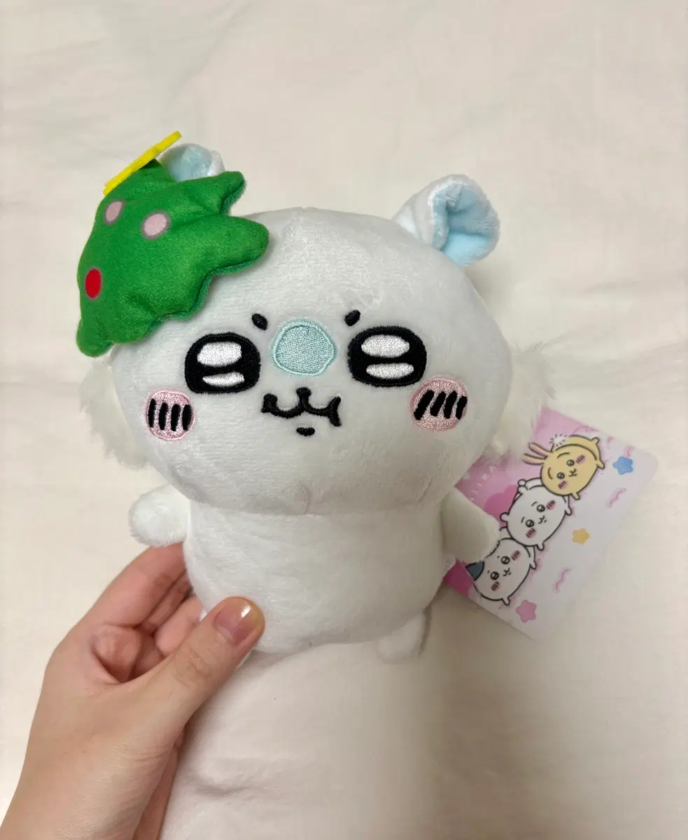 모몽가 크리스마스 누이