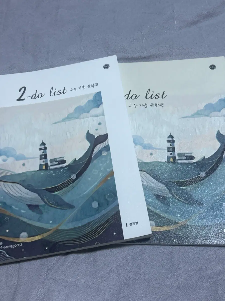 시대인재 강은양 2-do list 수능 기출 문학 문제집