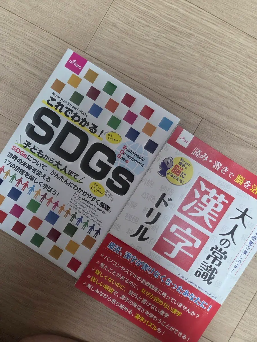 일본다이소 (SDGs / 어른의 상식 한자) 교재