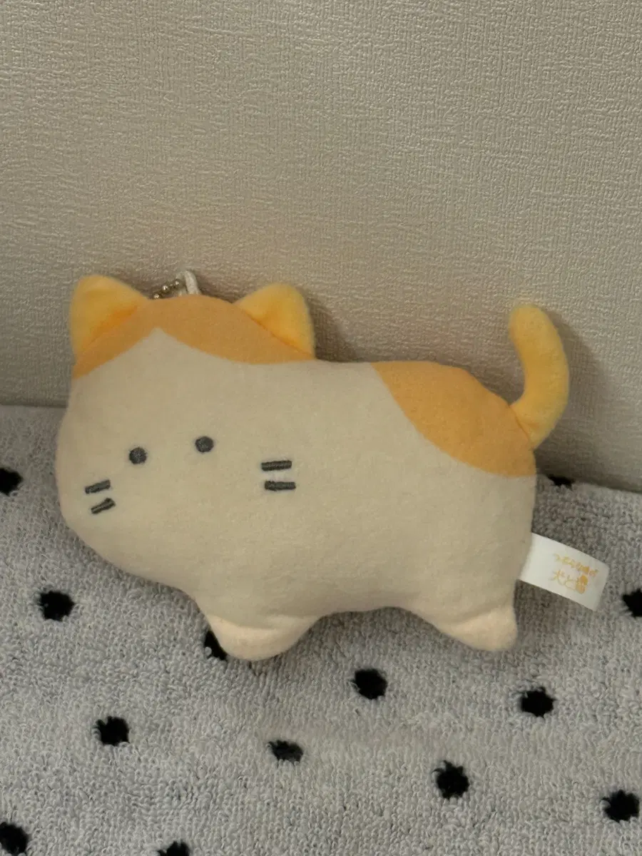 츠부라나 히토미 먼치킨 고양이 키링 인형