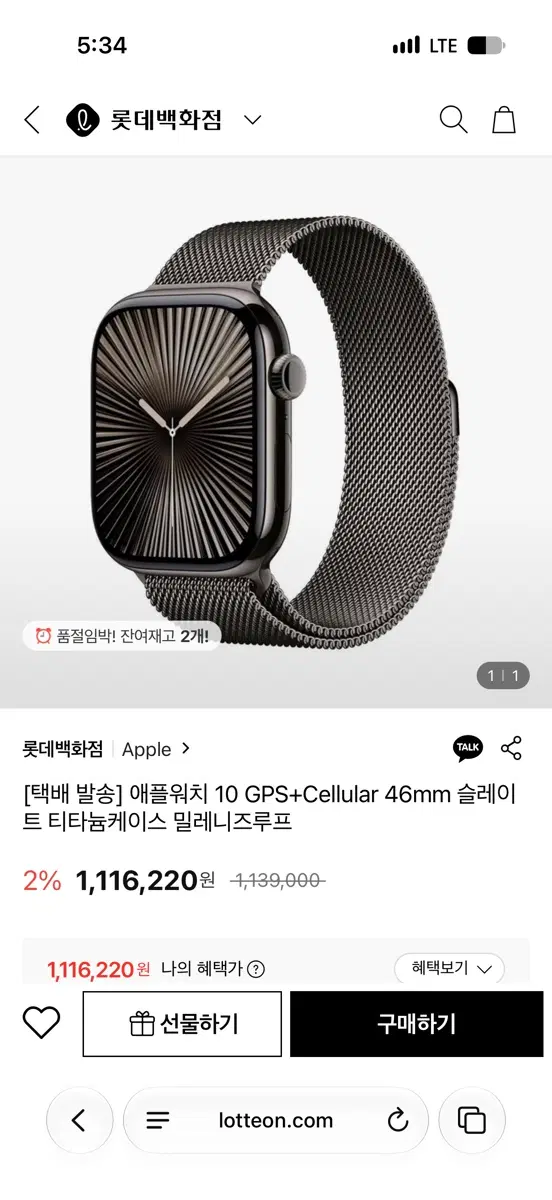 애플워치 10 GPS+Cellular 46mm 슬레이트 티타늄케이스 밀레니즈루프