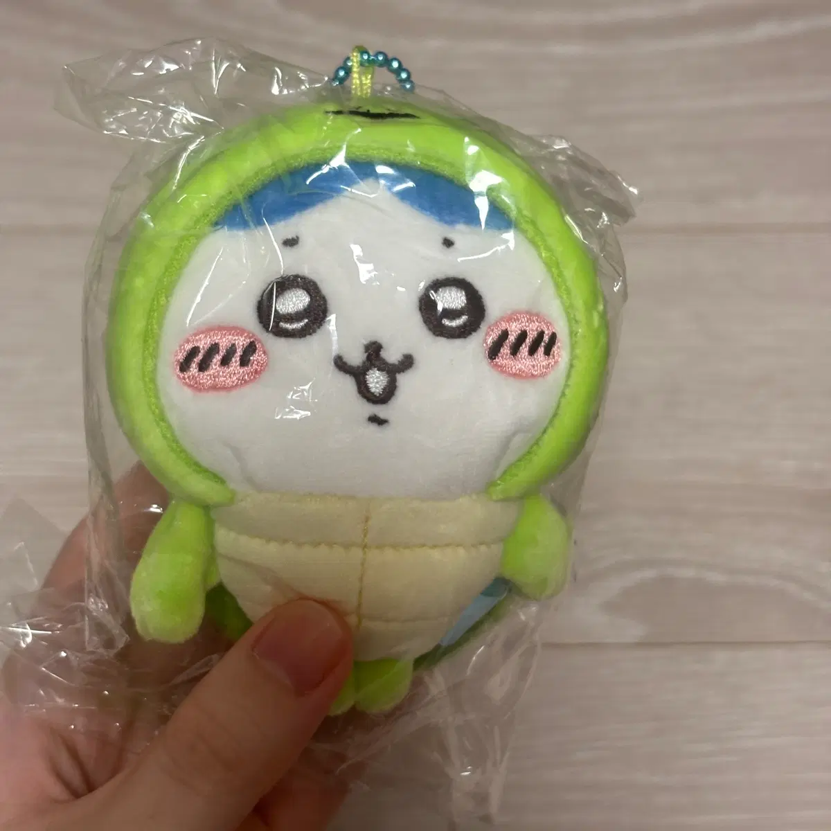 하치와레 거북이 마스코트