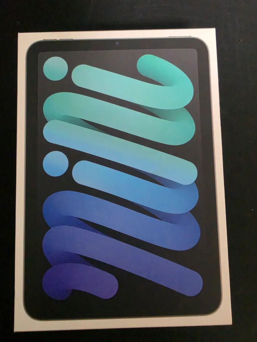 아이패드 미니7 (A17 Pro) 256 gb wifi