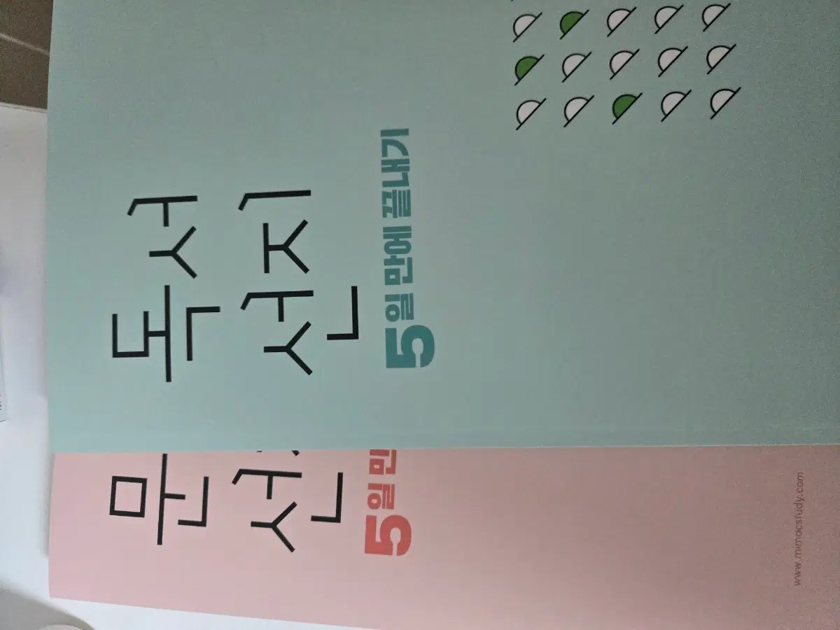 김젬마 5일만에 선지 끝내기 문학 독서