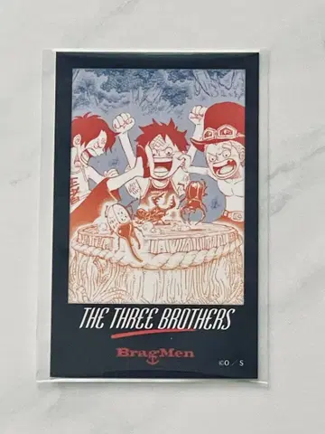 원피스 Bragmen 폴라로이드풍 카드 형제의 잔 루피 사보 에이스 삼주년
