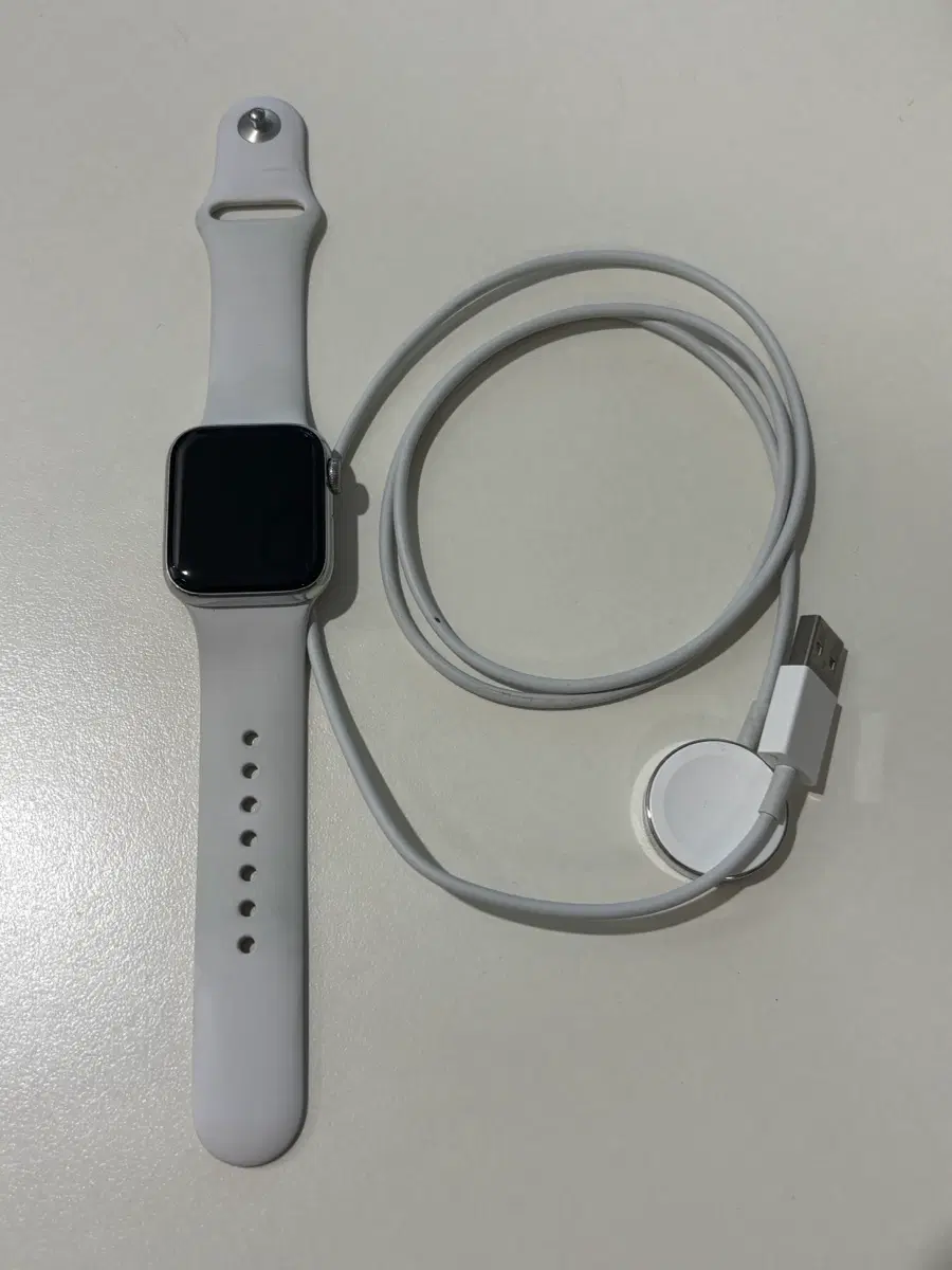 애플워치6 40mm 스테인리스스틸 실버 셀룰러모델