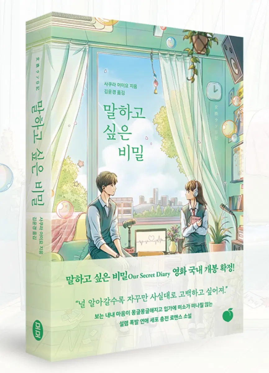 말하고 싶은 비밀 소설책