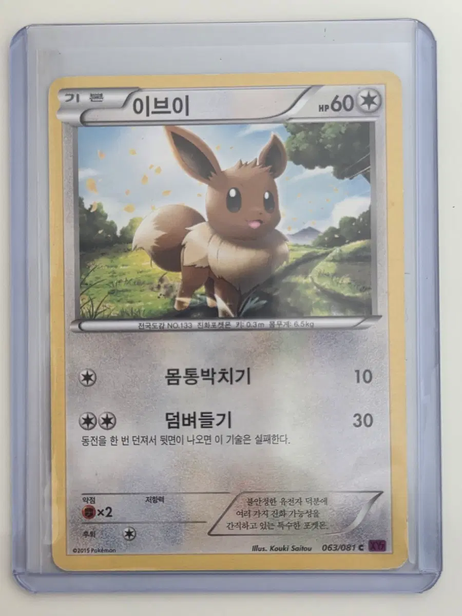 포켓몬카드 이브이 XY 시리즈