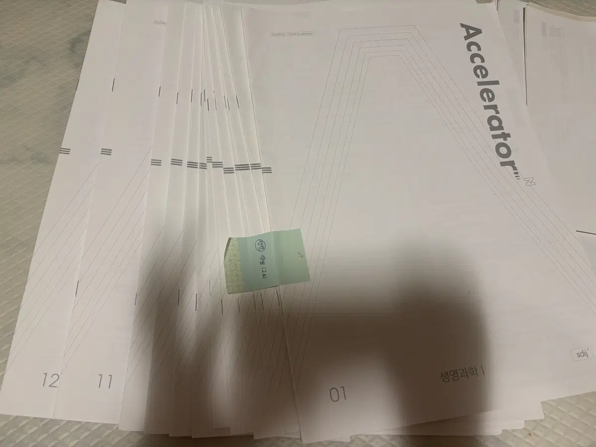 시대인재 생명과학1 엑셀러레이터 2025 대비 12회