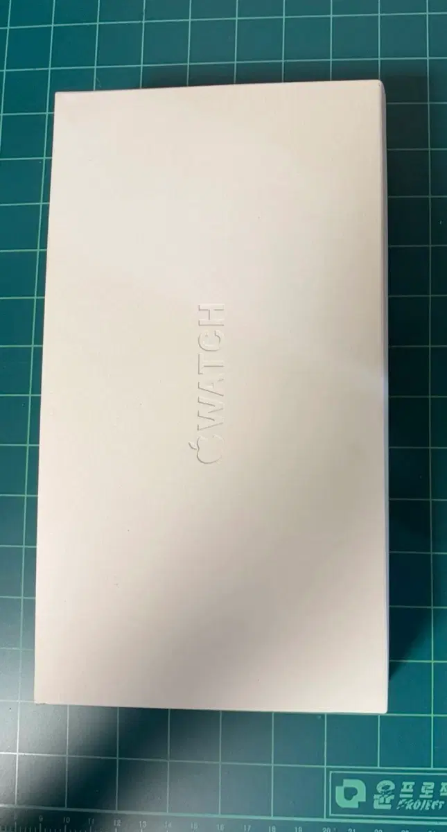 애플워치 울트라 2 실버