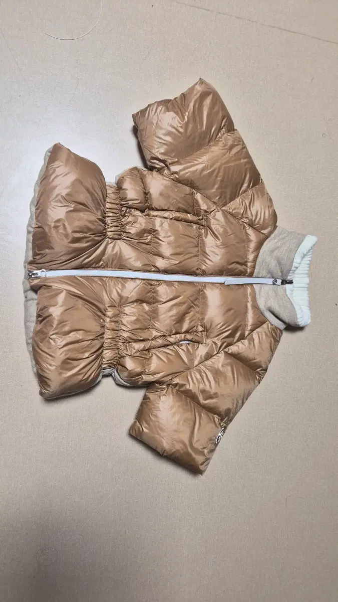 지포어구스 패딩
