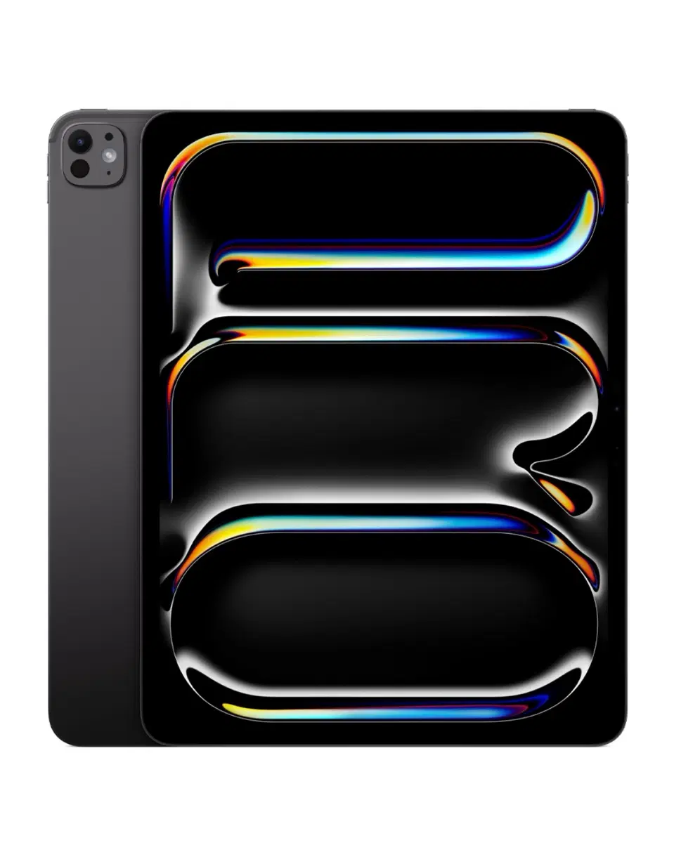 [삽니다] 아이패드 프로 13 M5 셀룰러 cellular 256GB