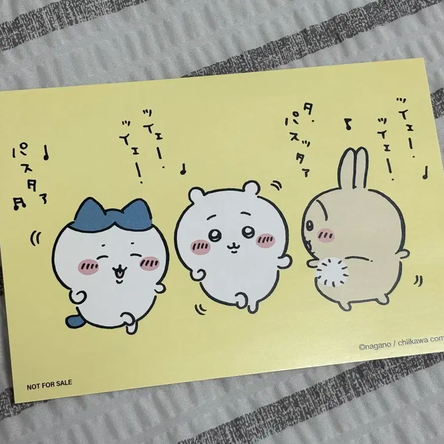 미사용 현물 치이카와 키디랜드 입장 엽서 하치와레 우사기 먼작귀