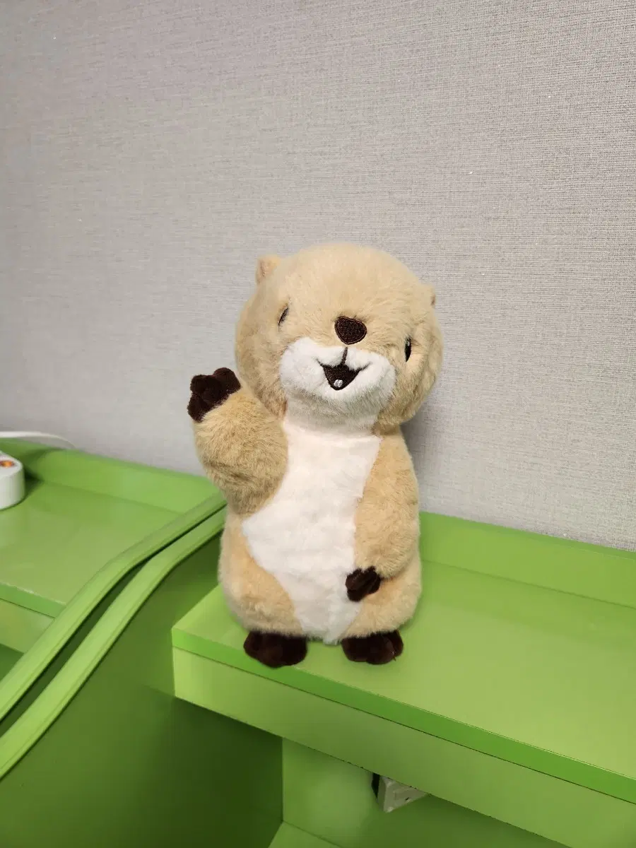 프레디 독 중형인형