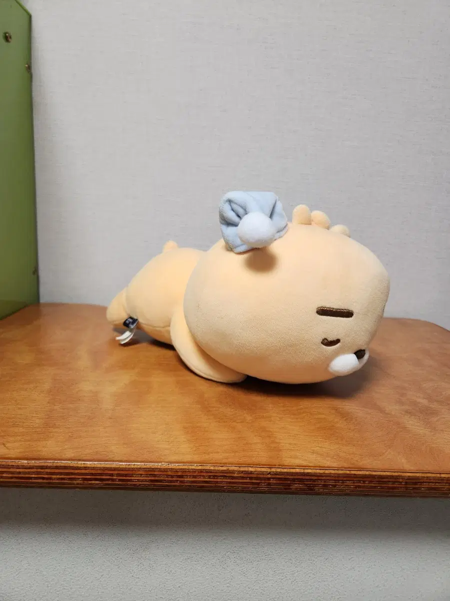 잠자는 라이언 중형인형