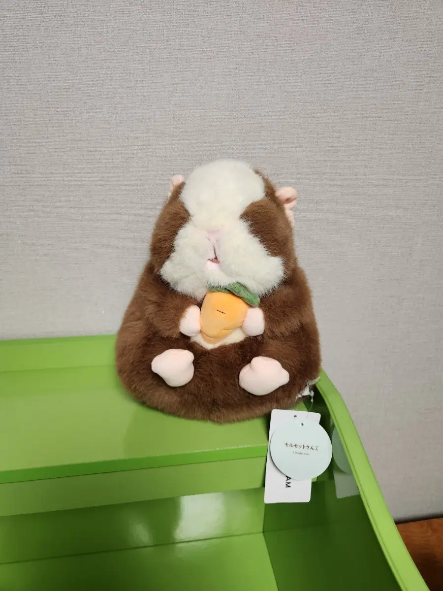 데굴데굴 야채식사 모루모토상 중형인형 텍있음