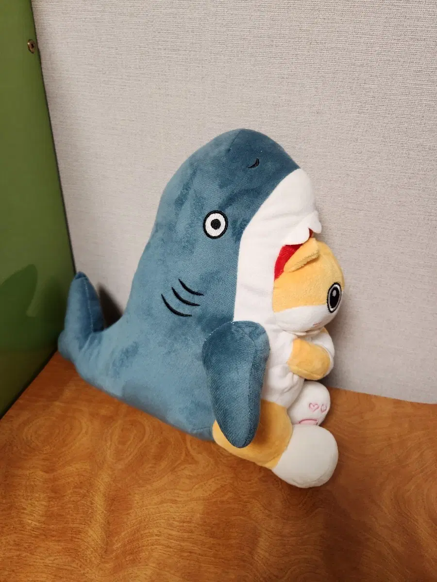 고양이 입에문 상어 중형인형 36cm