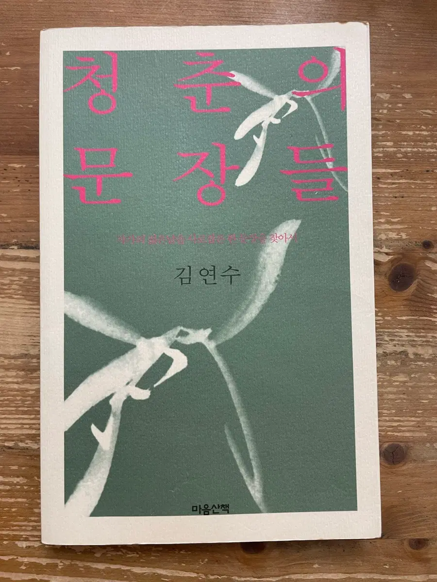 청춘의 문장들 - 김연수