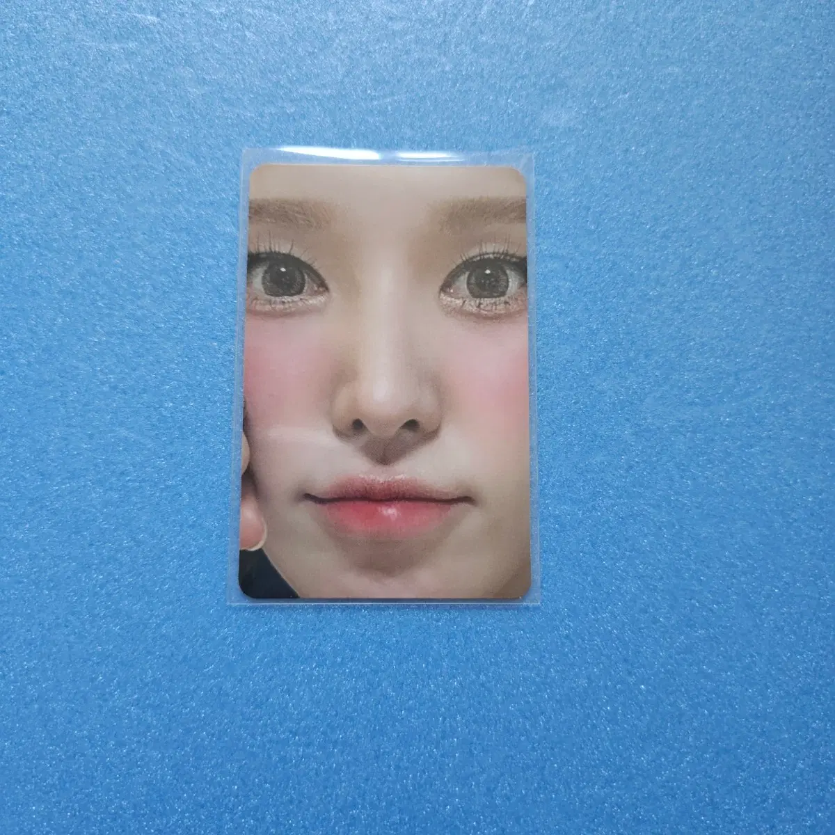 레드벨벳 웬디 포토카드 (Wish you hell 위슈헬 패키지버전 앨포 포카)
