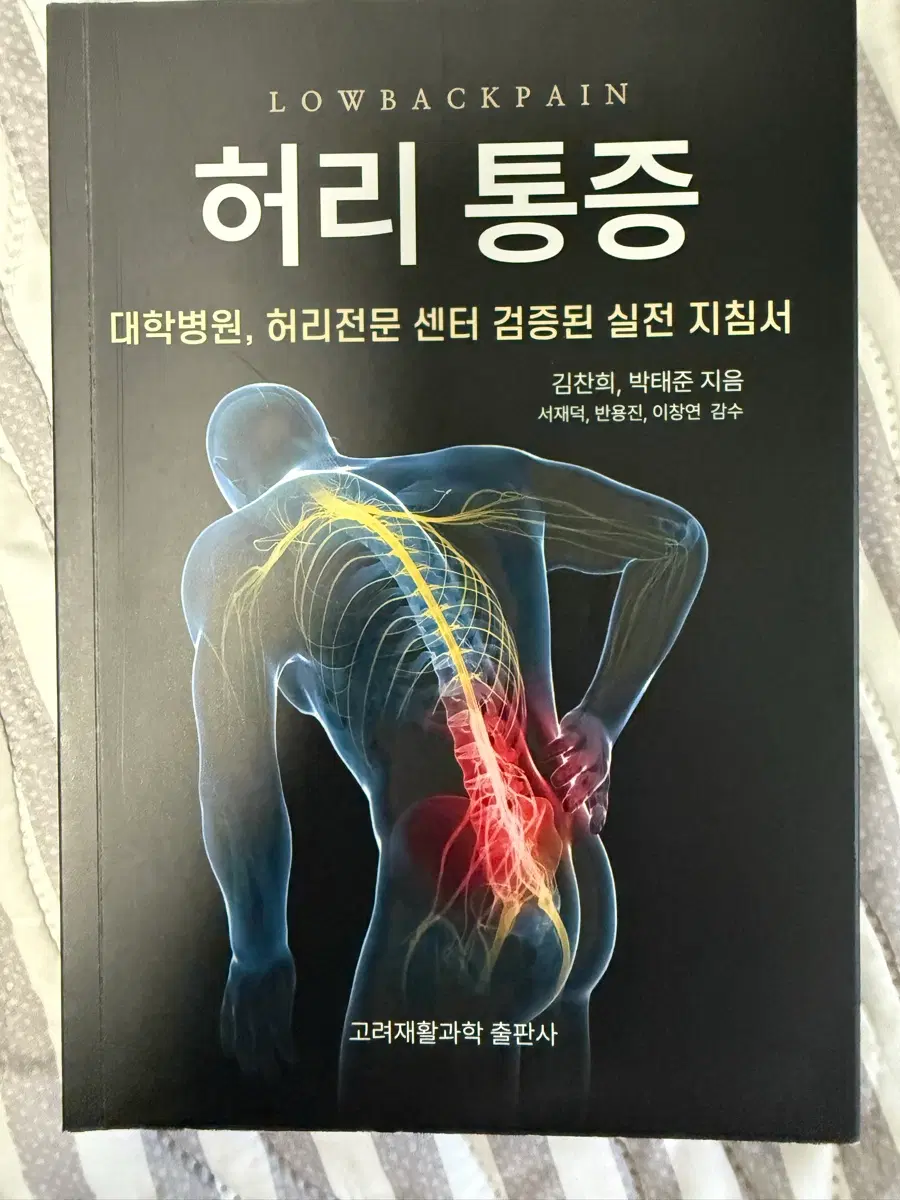 허리통증 실제 지침서