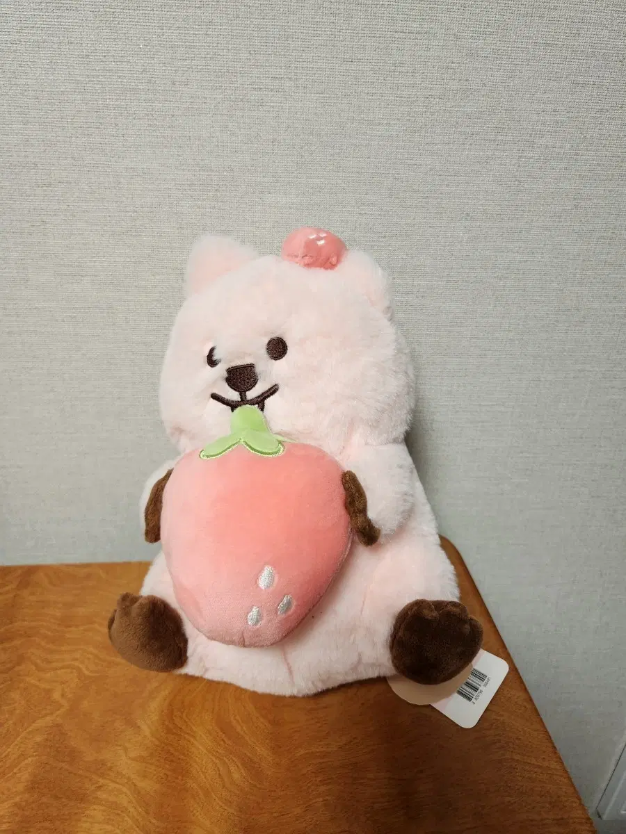 딸기 꽃카 중형인형 텍있음