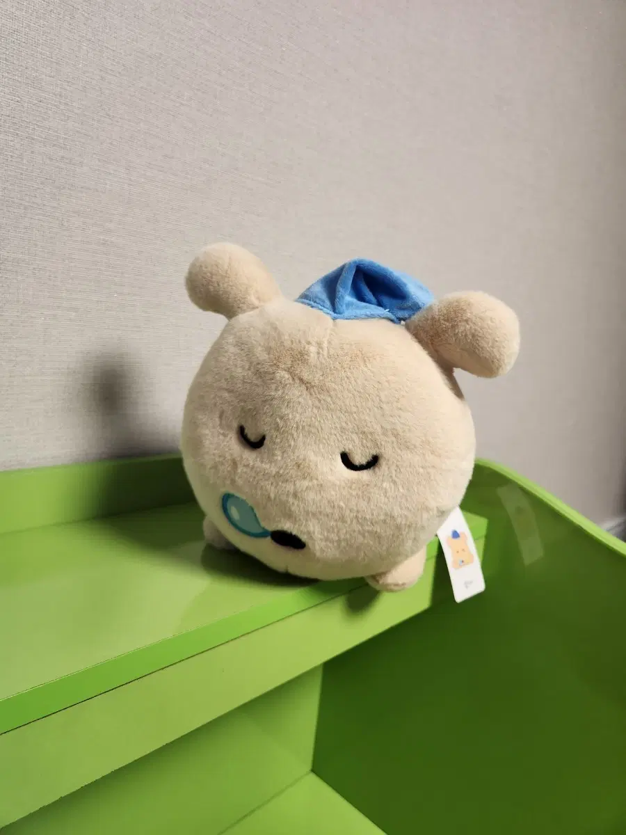감자 강아지 중형인형 텍있음