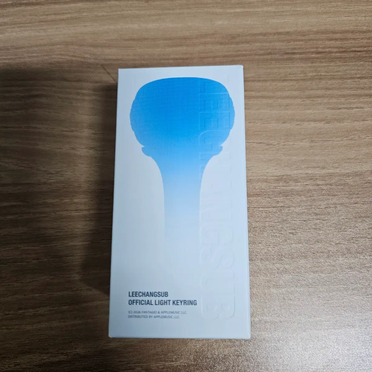 이창섭 응원봉 키링