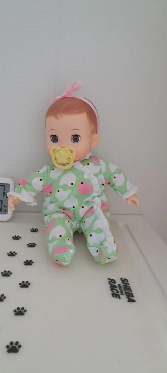 옹알이 콩콩이 인형