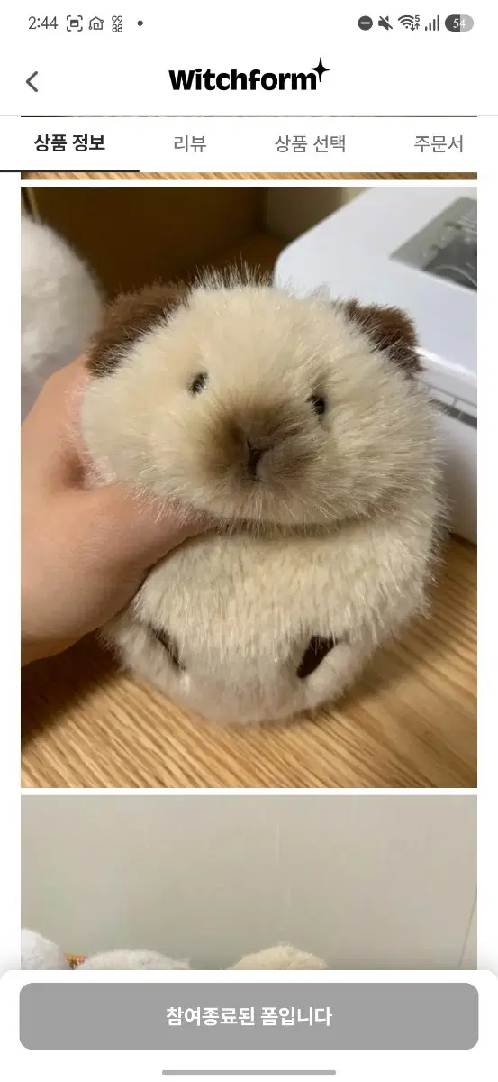 귀여운 기니피그 인형