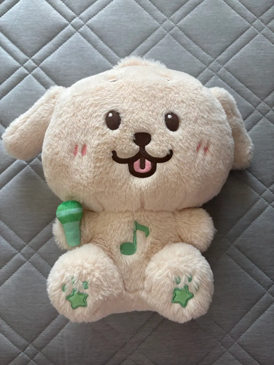 nct wish 재희 댕트리버 30cm 인형 포카포함