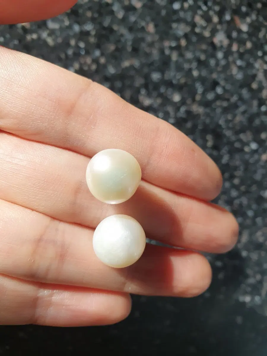 (새상품)L사이즈 천연진주 귀걸이 11mm