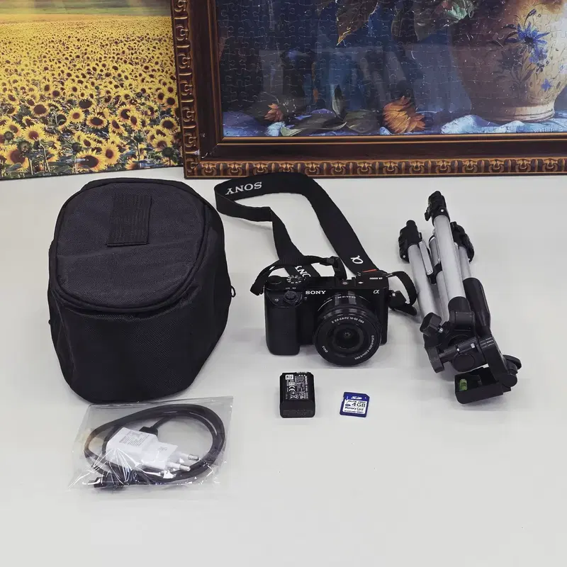 풀구성)소니 a6000 블랙+16-50mm 번들셋, 입문용 끝판왕 카메라