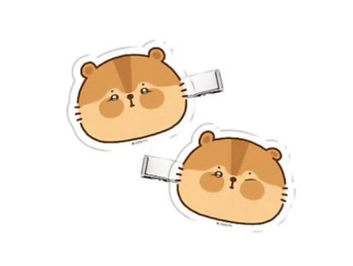 람샤 헤어 클립 세트
