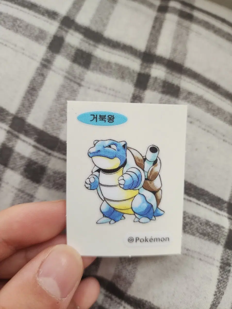 포켓몬 띠부씰 교환