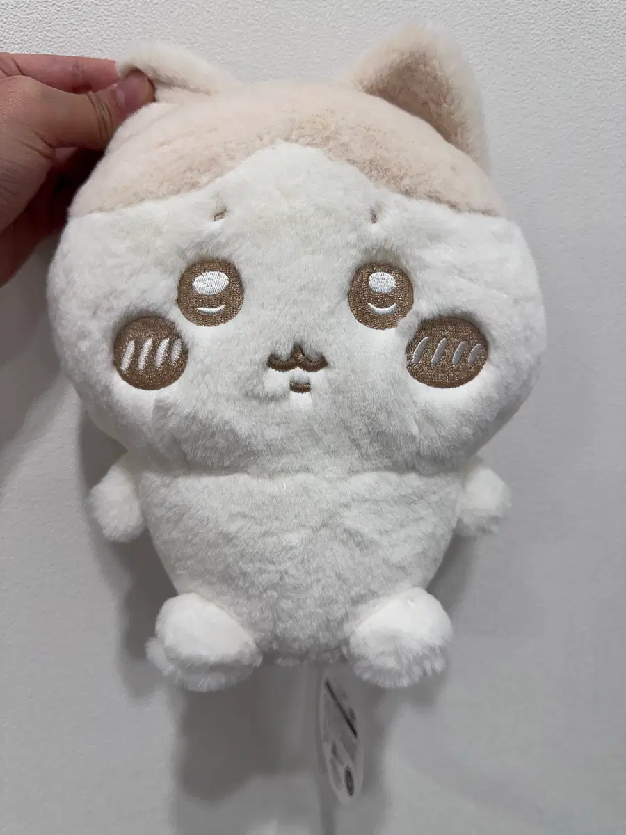 치이카와 하치와레 밀크 누이