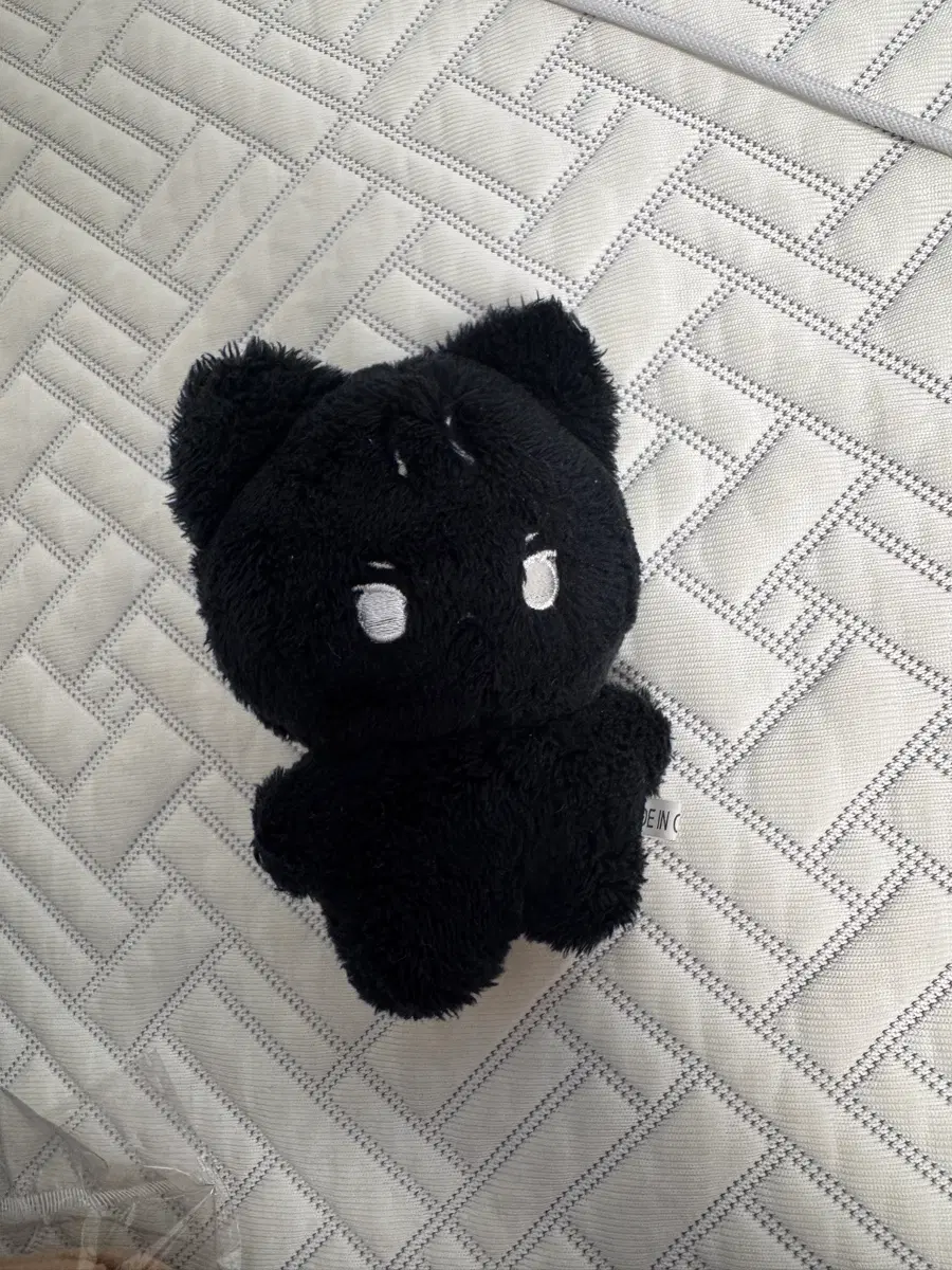 더보이즈 큐 인형 (큐먕이)
