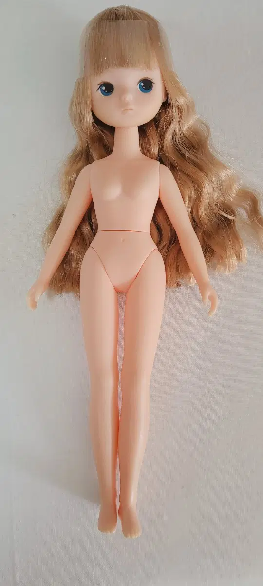 아이로아돌 로엘