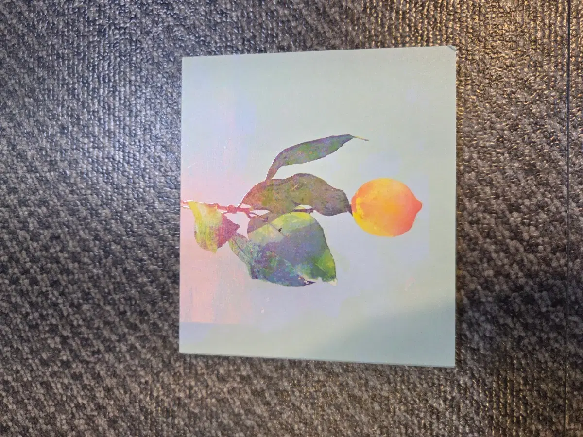 요네즈켄시 레몬 초회판 dvd