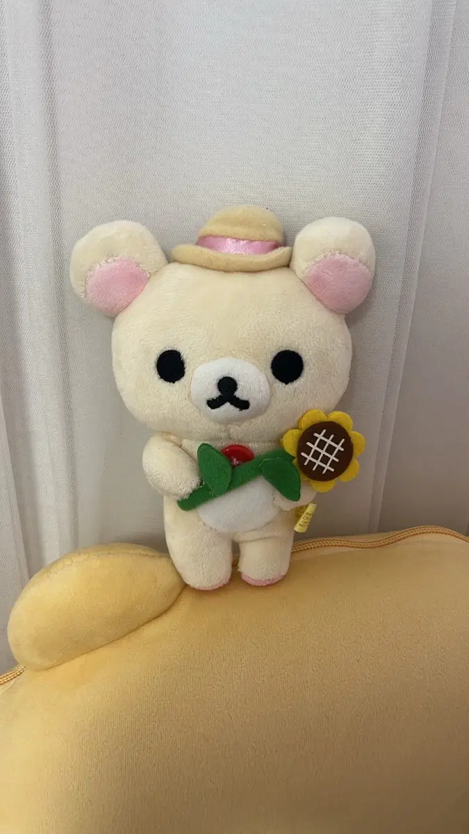 해바라기 코리락쿠마
