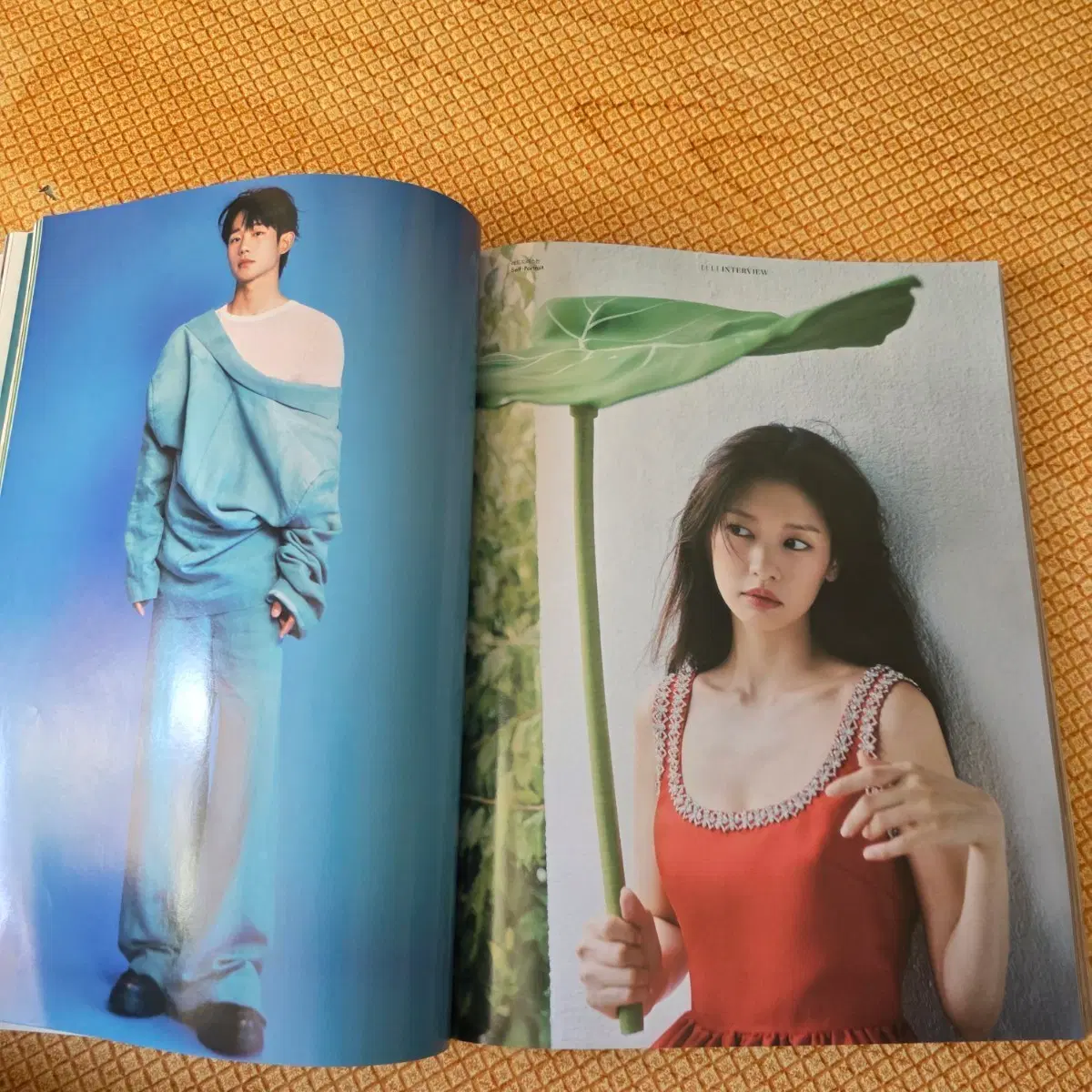 엘르 잡지 분철 양도