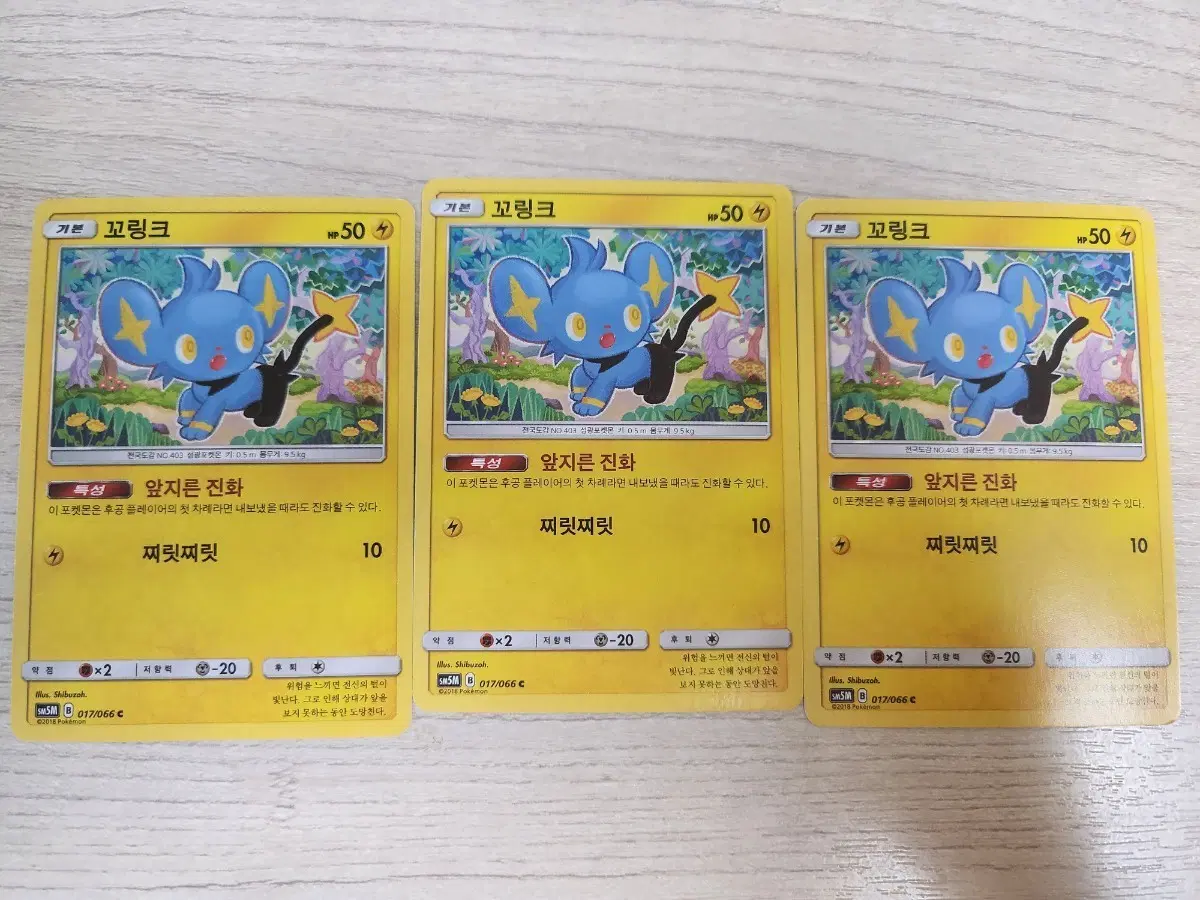 포켓몬카드 꼬링크 3장 일괄