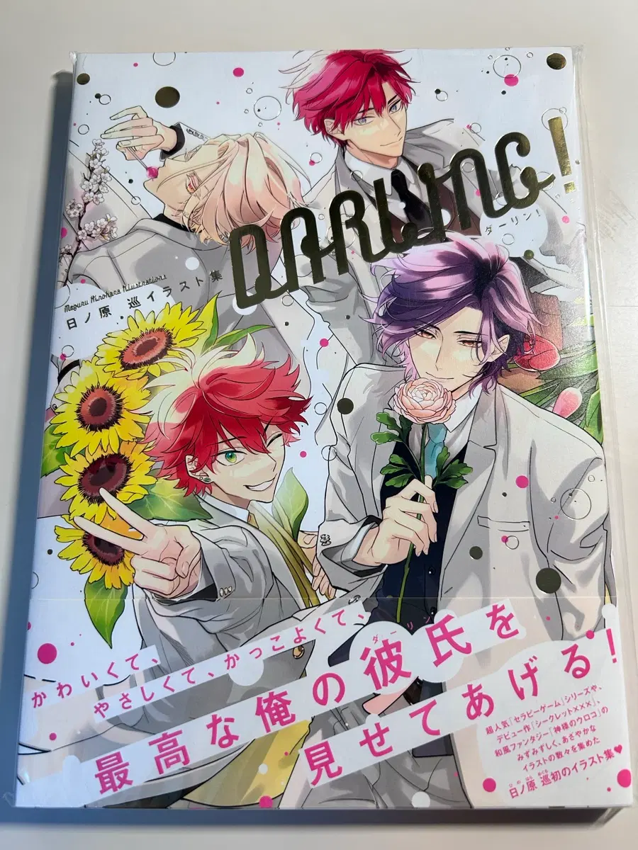 히노하라 메구루 달링 DARING! 일러스트집 테라피게임 BL만화책