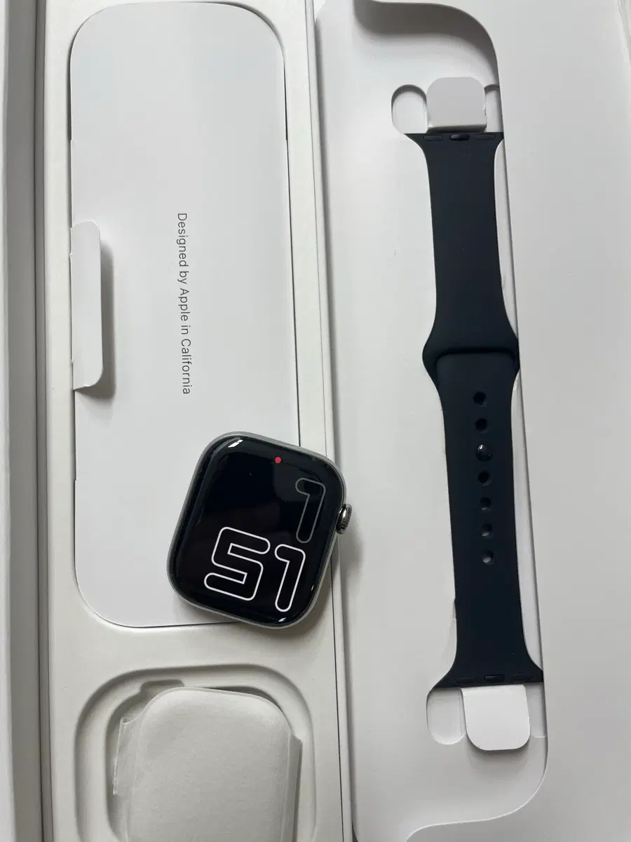 애플워치10티타늄 42mm 내추럴 SS급