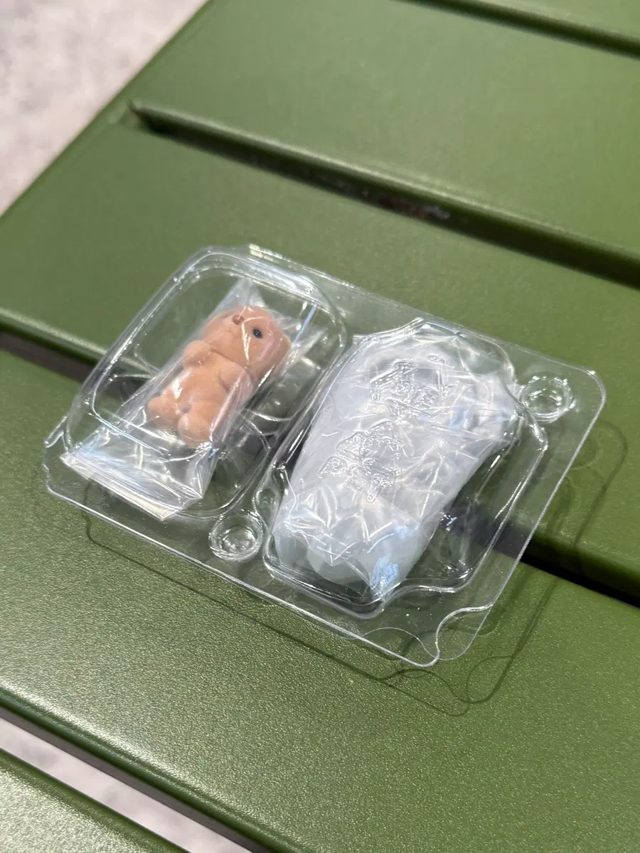 실바니안 돌바니안