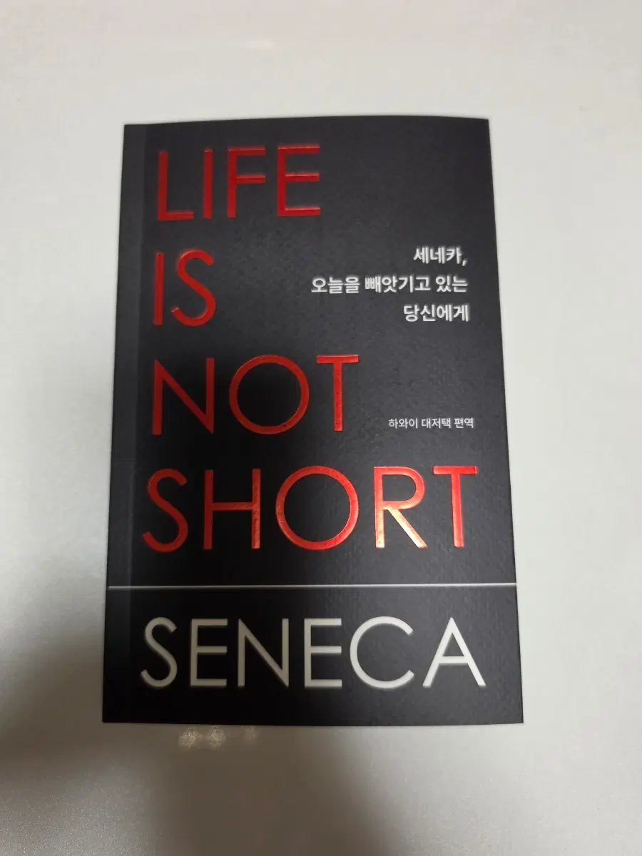 세네카, 오늘을 빼앗기고 있는 당신에게