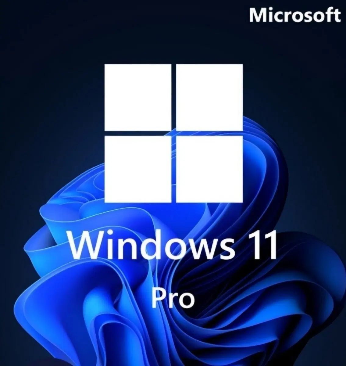 [번개발송] 윈도우11 / 윈도우10 프로 홈 정품키 오피스2021