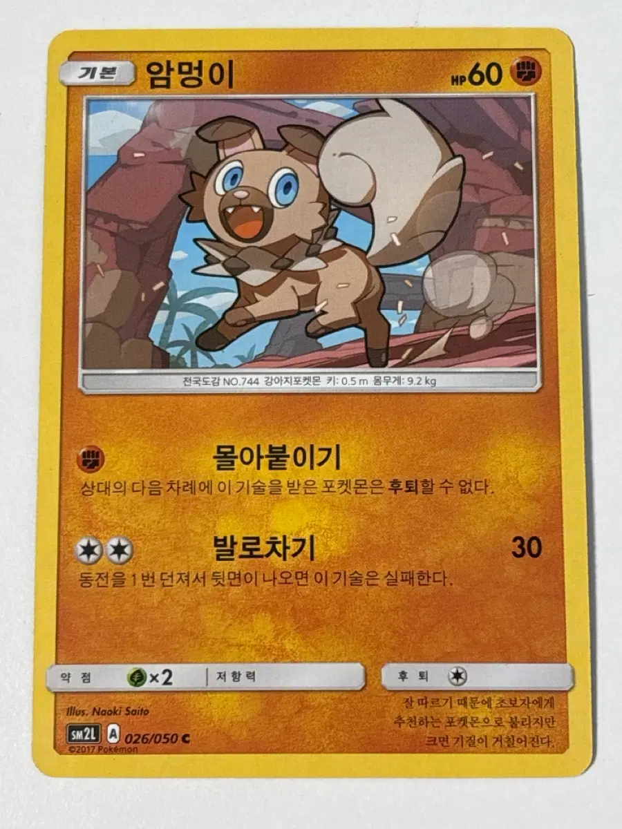 포켓몬카드 2017년 귀여운 암멍이