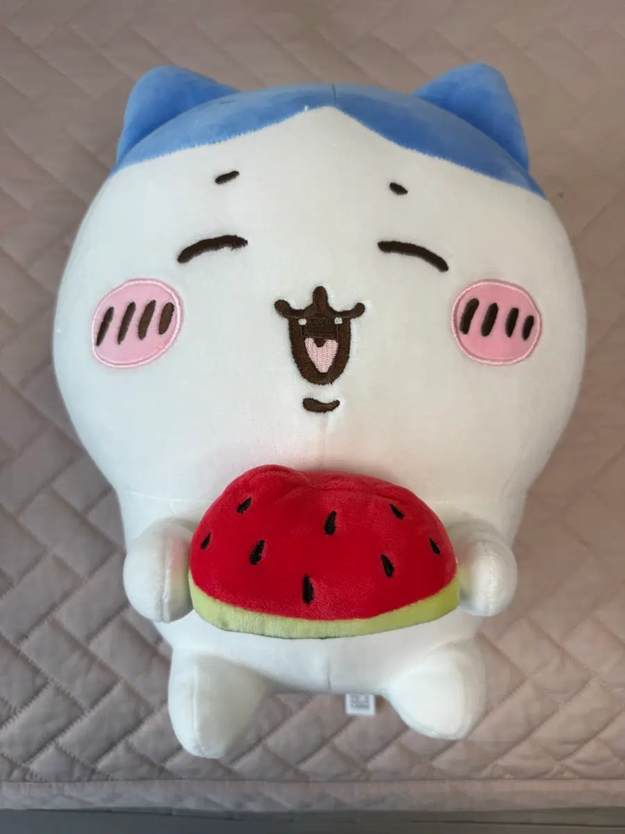 수박 하치와레